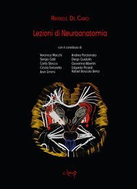 Lezioni di neuroanatomia