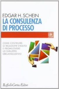 La consulenza di processo. Come costruire le relazioni d'aiuto e promuovere lo sviluppo organizzativo