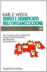 Senso e significato nell'organizzazione. Alla ricerca delle ambiguità e delle contraddizioni nei processi organizzativi