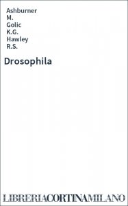 Drosophila