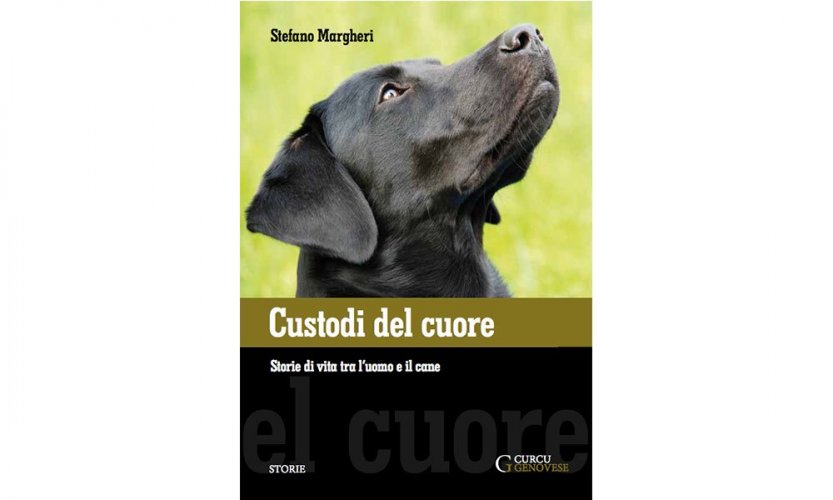 Custodi del cuore. Storie di vita tra l'uomo e il cane