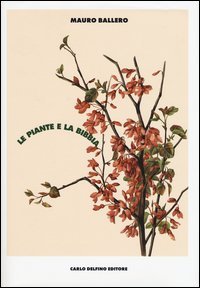 Le piante e la Bibbia