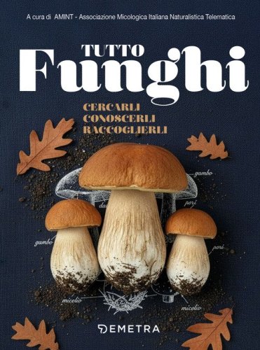 Tutto funghi. Cercarli conoscerli raccoglierli