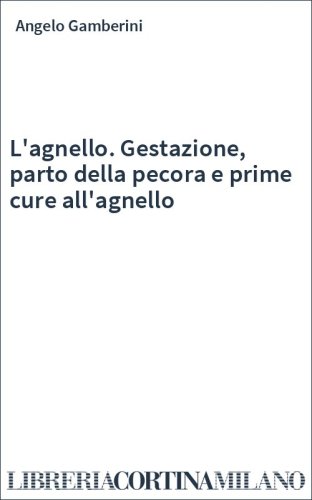 L'agnello. Gestazione, parto della pecora e prime cure all'agnello