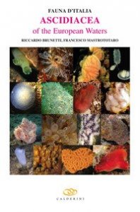 Ascidiacea of the European waters