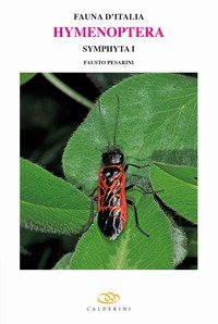 Hymenoptera. Symphyta