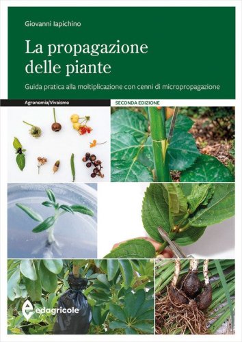 La propagazione delle piante. Guida pratica alla moltiplicazione con cenni di micropropagazione