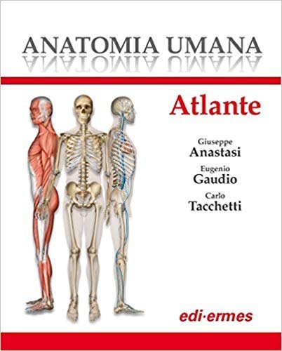 Anatomia umana. Trattato vol. 1-3