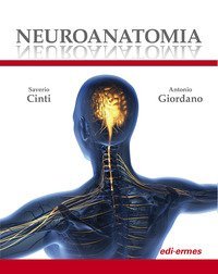 Neuroanatomia