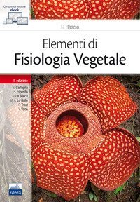 Elementi di fisiologia vegetale