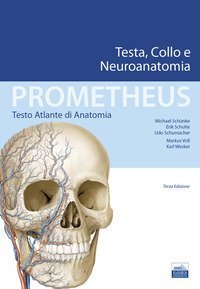 Prometheus. Testo atlante di anatomia. Testa, collo e neuroanatomia