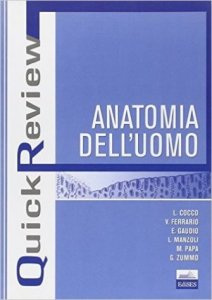 Quick review. Anatomia dell'uomo