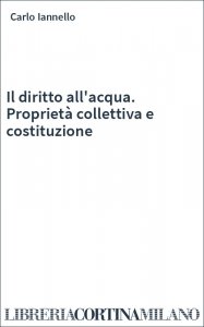 Il diritto all'acqua. Proprietà collettiva e costituzione