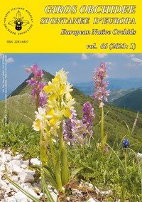 Giros. Orchidee spontanee d'Europa
