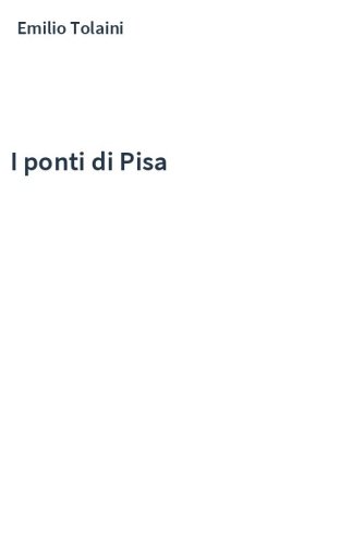 I ponti di Pisa