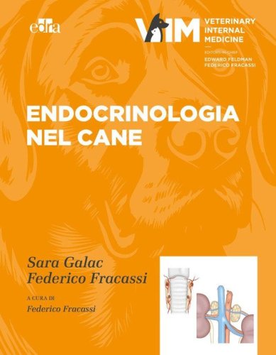 Endocrinologia nel cane