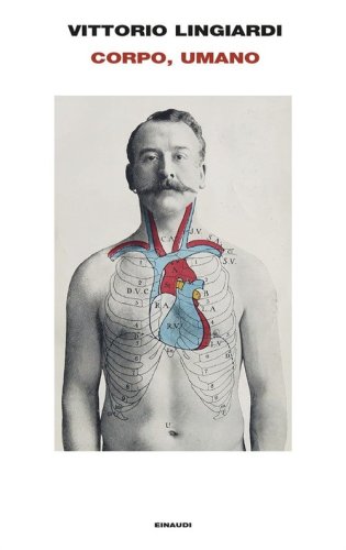 Corpo, umano