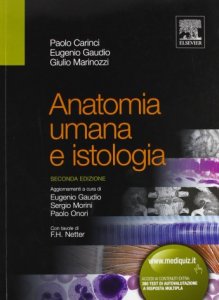 Anatomia umana. Atlante : Anastasi, Giuseppe, Gaudio, Eugenio, Tacchetti,  Carlo: : Libri