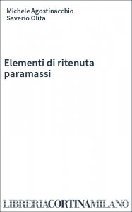 Elementi di ritenuta paramassi