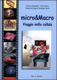 Micro & macro