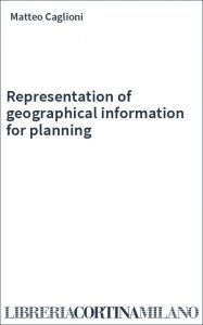 Representation of geographical information for planning