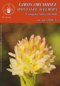 Giros. Orchidee spontanee d'Europa