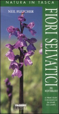 Fiori selvatici del Mediterraneo