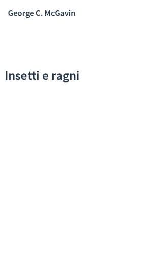 Insetti e ragni