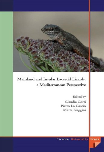 Mainland and insular lacertid lizard. A Mediterranean perspective