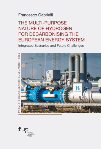 The multi-purpose nature of hydrogen for decarbonising the European energy system. Integrated scenarios and future challenges