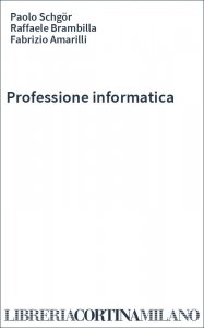 Professione informatica