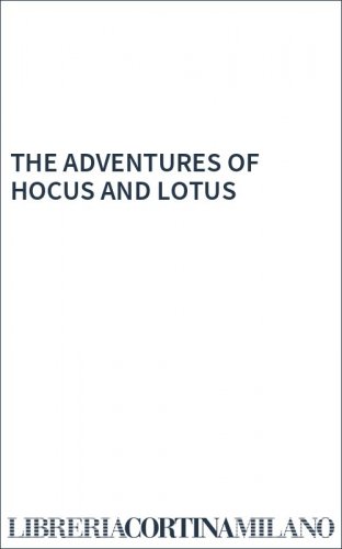 THE ADVENTURES OF HOCUS AND LOTUS