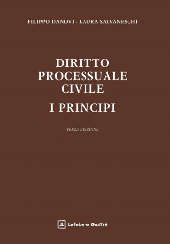 Diritto Processuale Civile. I principi