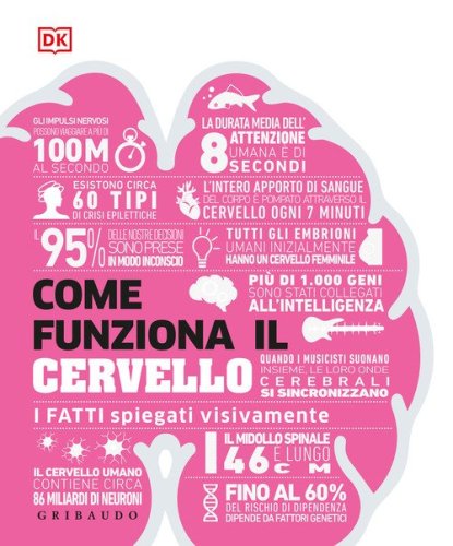 Come funziona il cervello. I fatti spiegati visivamente