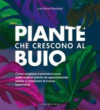 Piante che crescono al buio. Come scegliere e prendersi cura delle migliori piante d'appartamento adatte a condizioni di scarsa luminosità