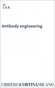 Antibody engineering