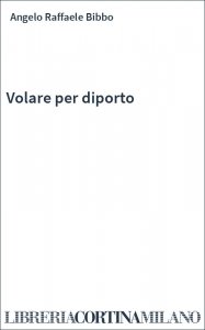 Volare per diporto