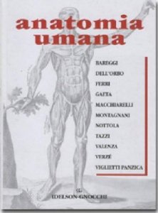 Anatomia umana