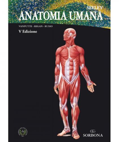 Anatomia umana