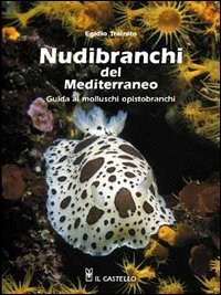 Nudibranchi del Mediterraneo