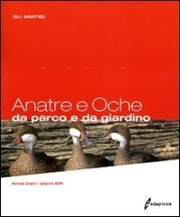 Anatre e oche da parco e da giardino. Gli anatidi