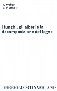 I funghi, gli alberi e la decomposizione del legno