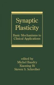 Synaptic Plasticity