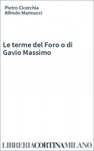 Le terme del Foro o di Gavio Massimo