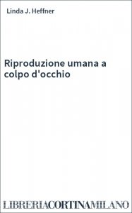 Riproduzione umana a colpo d'occhio
