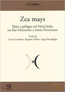 Zea Mays