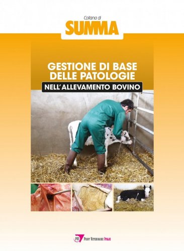 Gestione di base delle patologie nell'allevamento bovino