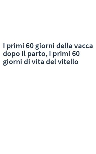 I primi 60 giorni della vacca dopo il parto, i primi 60 giorni di vita del vitello