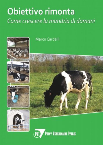 Obiettivo rimonta. Come crescere la mandria domani