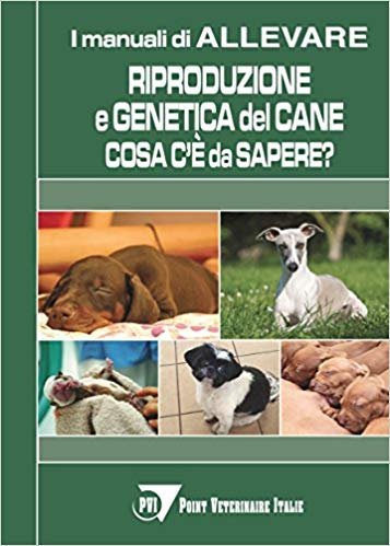 Riproduzione e genetica del cane: cosa c'è da sapere